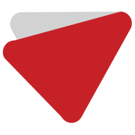 Logo Icon